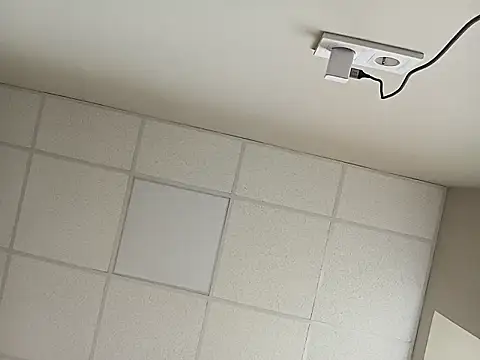 HapinessLovee online show from March 31, 2026, 8:59 am