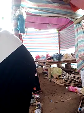 Him MountainGirl online show from February 3, 2026, 3:04 am