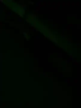 Snapshot of zoodangermind chatting on May 17, 2026, 12:08 am zoodangermind online show from May 17, 2026, 12:08 am