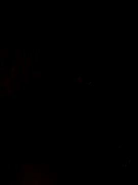 nehakapoor89 online show from December 14, 2025, 7:40 pm