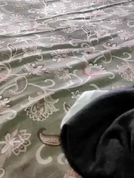 Cuple masti72 online show from February 5, 2026, 9:25 am