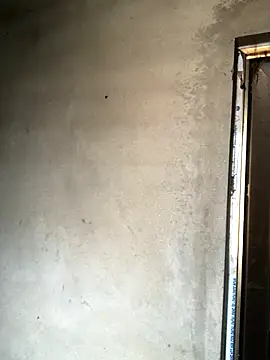 Pege-nii online show from December 18, 2025, 5:35 am