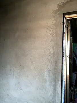 Pege-nii online show from December 19, 2025, 6:20 am