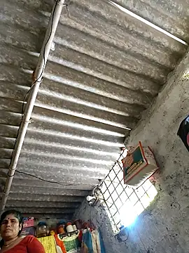 Mahi bigg online show from March 1, 2026, 9:44 am