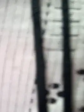 teena-11 online show from March 23, 2026, 2:21 pm