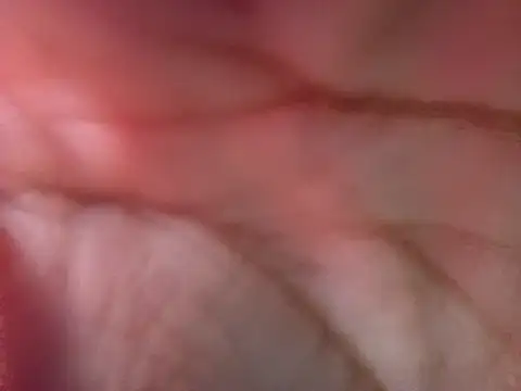 Snapshot of LolilolsAdj chatting on March 4, 2026, 12:27 am LolilolsAdj online show from March 4, 2026, 12:27 am