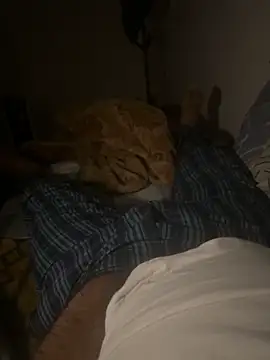 Night outcam online show from February 17, 2026, 7:20 pm