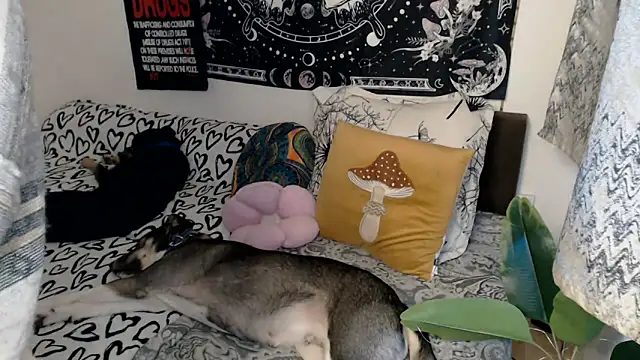 AlienforTwenty online show from February 26, 2026, 8:57 am