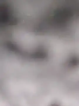 Akanksha soni online show from April 8, 2026, 8:36 am