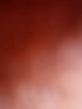 layanehot online show from December 23, 2025, 9:18 am