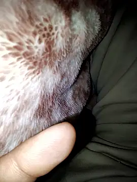 aman4404 online show from January 13, 2026, 6:08 am