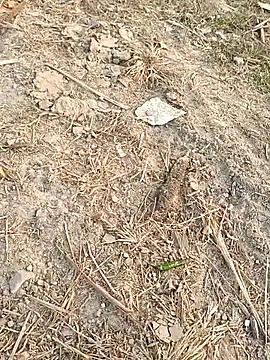 sexloverg7 online show from December 15, 2025, 10:41 am