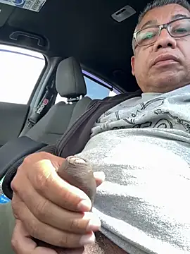 tigre6911 online show from April 24, 2026, 2:41 pm