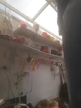 Snapshot of Almeyjose chatting on December 15, 2025, 5:50 pm Almeyjose online show from December 15, 2025, 5:50 pm