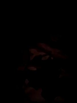 bnglrboy0886 online show from December 17, 2025, 7:31 pm