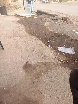 punecouplegroup online show from April 25, 2026, 1:52 am