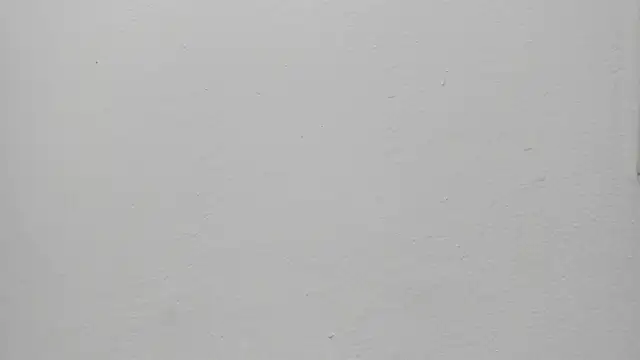 ariloe quintero online show from March 30, 2026, 1:34 pm