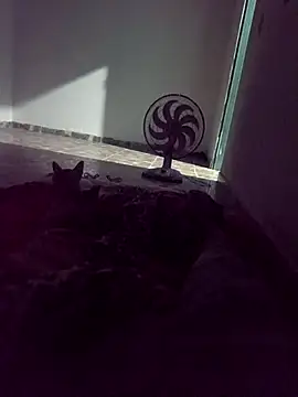 WPS15 online show from April 15, 2026, 11:27 pm