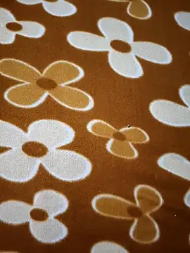 sweety 1433 online show from January 7, 2026, 8:06 am