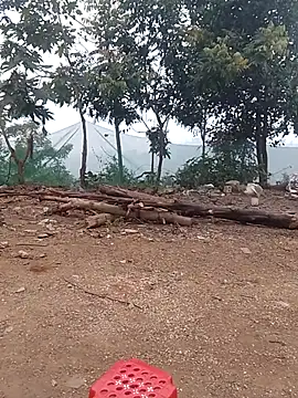 Menlike69 online show from January 15, 2026, 1:43 am