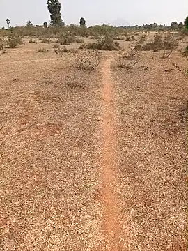 Tamilpaiyan07 online show from February 9, 2026, 7:01 am