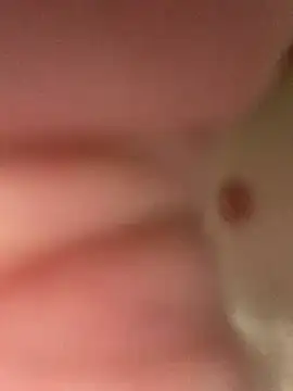 Snapshot of heath82841 chatting on February 11, 2026, 11:48 am heath82841 online show from February 11, 2026, 11:48 am