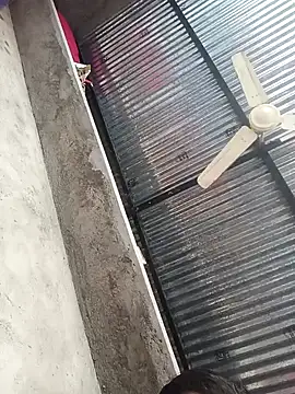 Dipali4 online show from December 23, 2025, 10:35 am