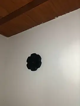 seth c online show from March 21, 2026, 6:11 pm