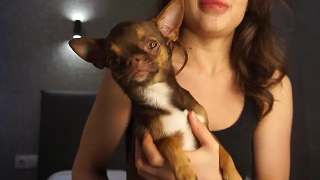 Snapshot of linclars chatting on March 6, 2026, 1:40 pm linclars online show from March 6, 2026, 1:40 pm