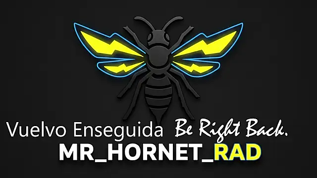 Snapshot of s_hornet chatting on May 4, 2026, 1:18 pm s hornet online show from May 4, 2026, 1:18 pm
