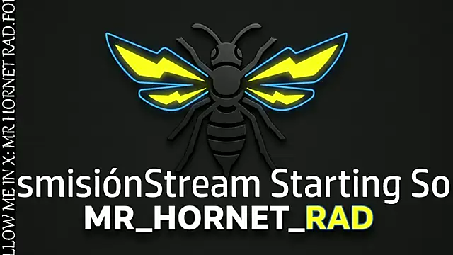 Snapshot of s_hornet chatting on May 18, 2026, 11:21 pm s hornet online show from May 18, 2026, 11:21 pm