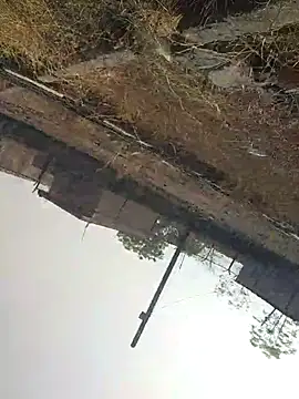 sexyboy 917 online show from April 22, 2026, 3:20 am