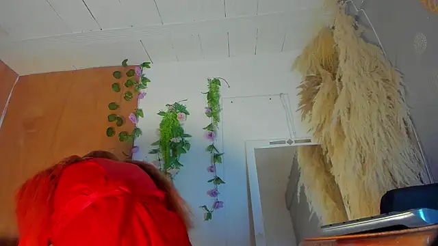 Alice randyy online show from February 9, 2026, 1:04 pm