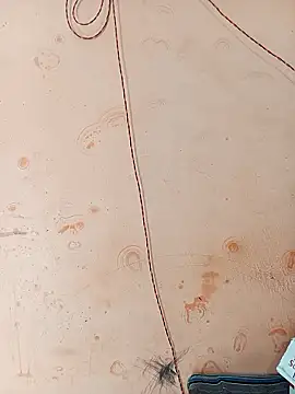 Anjali hot5 online show from January 13, 2026, 5:24 am