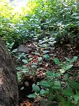 catstar143 online show from June 23, 2026, 1:14 am