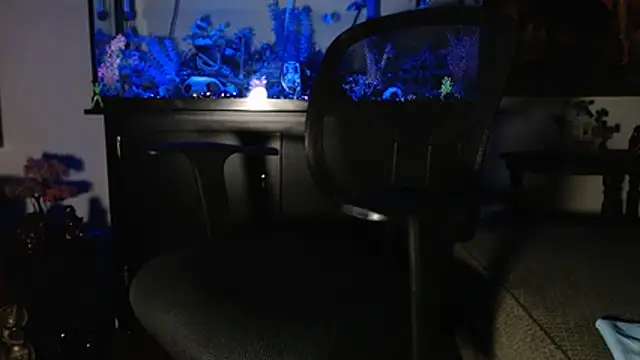 EspanolVato online show from January 10, 2026, 10:50 am