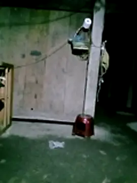 him220 online show from January 31, 2026, 11:25 pm