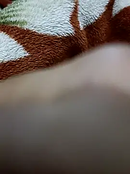  chota bunny  online show from February 8, 2026, 6:06 am