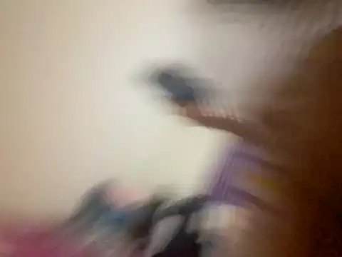 kitty pi online show from March 29, 2026, 2:55 am