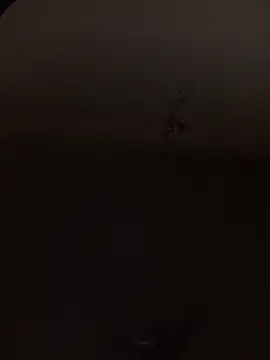 KINGPEARL69 online show from January 10, 2026, 12:07 pm