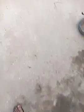 sarmila sexy1 online show from January 7, 2026, 11:34 am