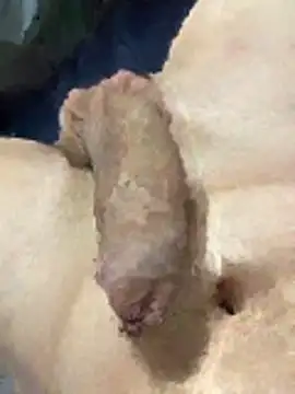 misteryboi online show from February 1, 2026, 12:20 am