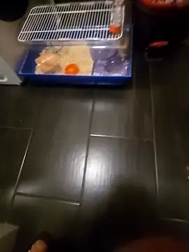 81czacha8107 online show from March 27, 2026, 10:42 pm