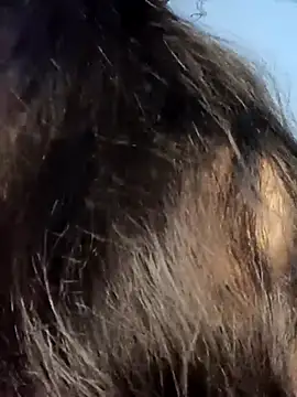 sexygirl889 online show from April 19, 2026, 4:45 am