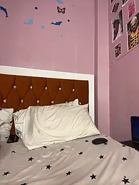 Snapshot of thakhiii3 chatting on February 18, 2026, 12:17 am thakhiii3 online show from February 18, 2026, 12:17 am