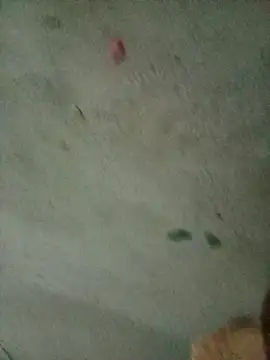 mogauff online show from January 13, 2026, 11:21 pm