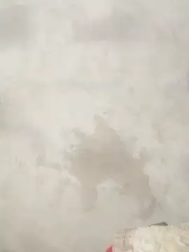 Savi-cute online show from February 21, 2026, 12:33 am