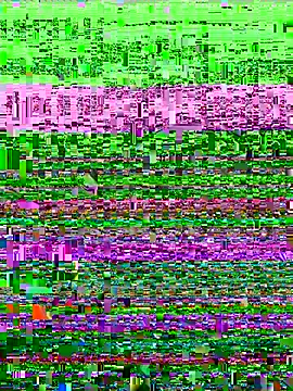 liyamjunior online show from June 3, 2026, 2:14 am