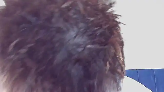 DrakeCarter online show from February 26, 2026, 1:48 am