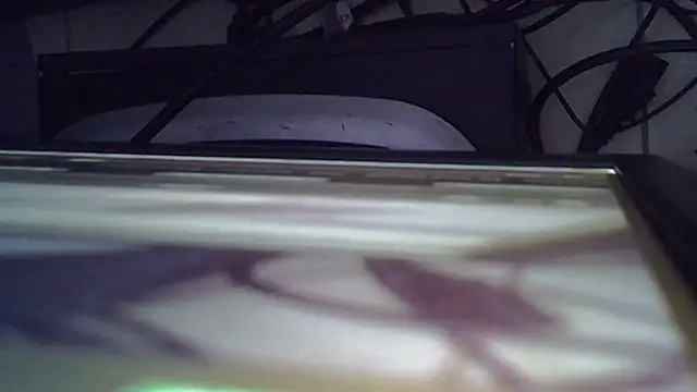 tekashi667 online show from July 9, 2026, 4:16 am